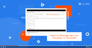 How To Manage Service Provider In TeroTAM