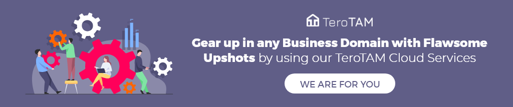Gear up in any business domain with flawsome upshots by using our TeroTAM cloud services